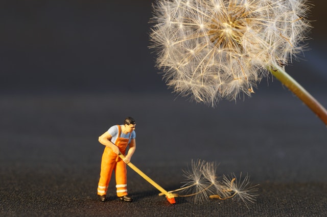 find cleaning job